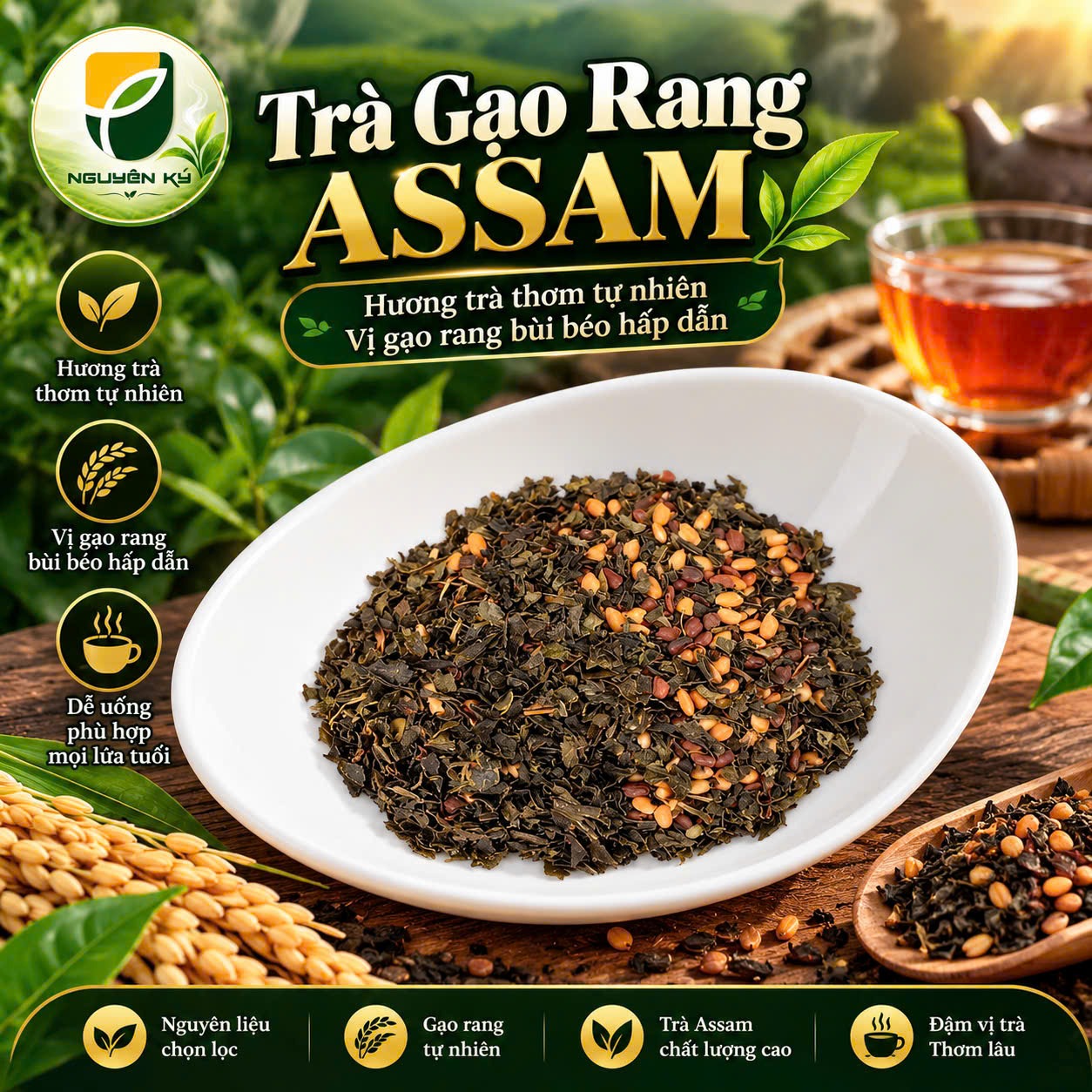  Trà Gạo Rang ASSAM Túi Lọc - Hộp 160G – ảnh 5